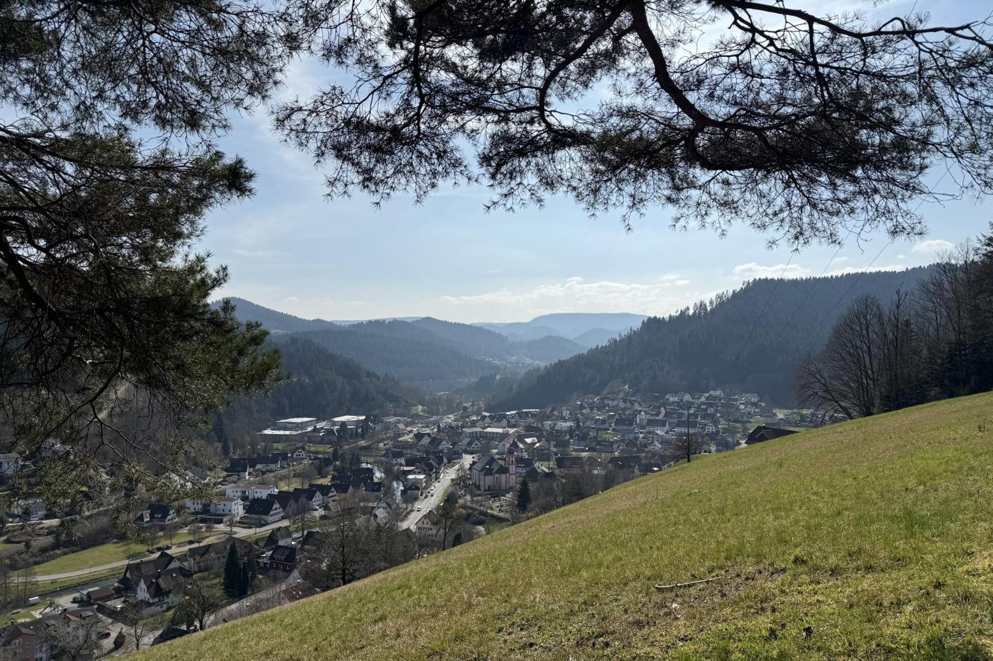 Schwarzwald Blockhaus - Sauna - Kamin - Mit Bettwaesche Und Handtuecher Schenkenzell Exterior photo