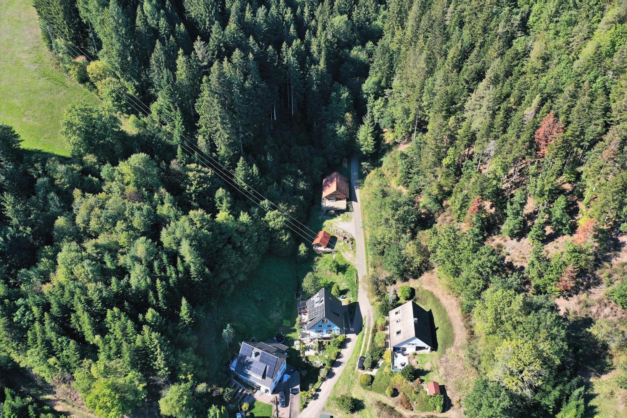Schwarzwald Blockhaus - Sauna - Kamin - Mit Bettwaesche Und Handtuecher Schenkenzell Exterior photo